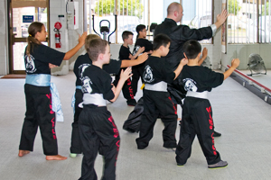 Kung Fu Sandringham Kids classes