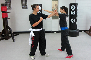 Kung Fu Sandringham women classes